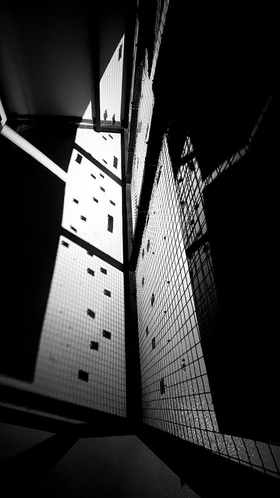 Photograph by Анастасия Ломаева