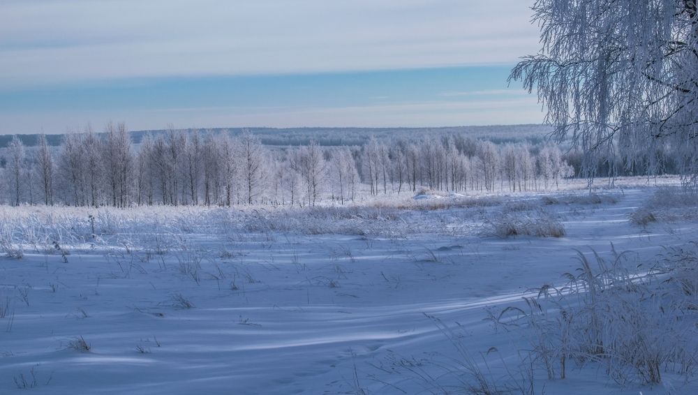 Зимний ландшафт