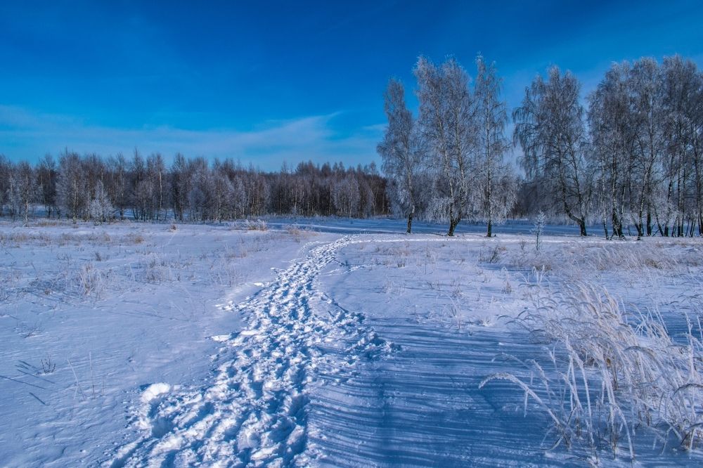 Зимняя тропа