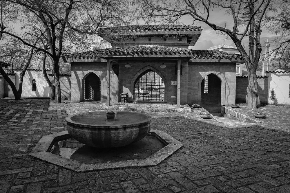 Photograph by Владимир Гамаюнов