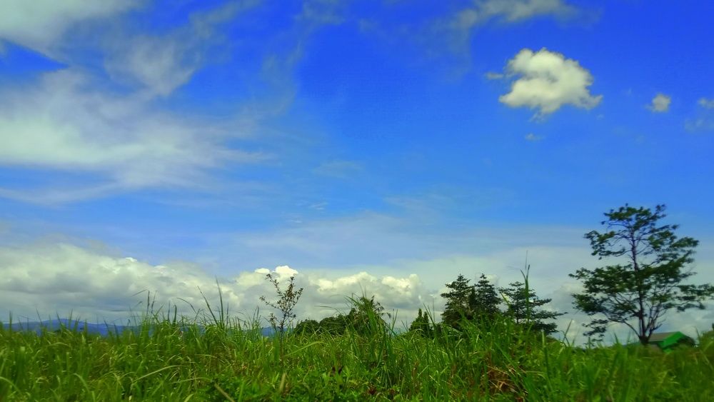 Photograph by Herawati