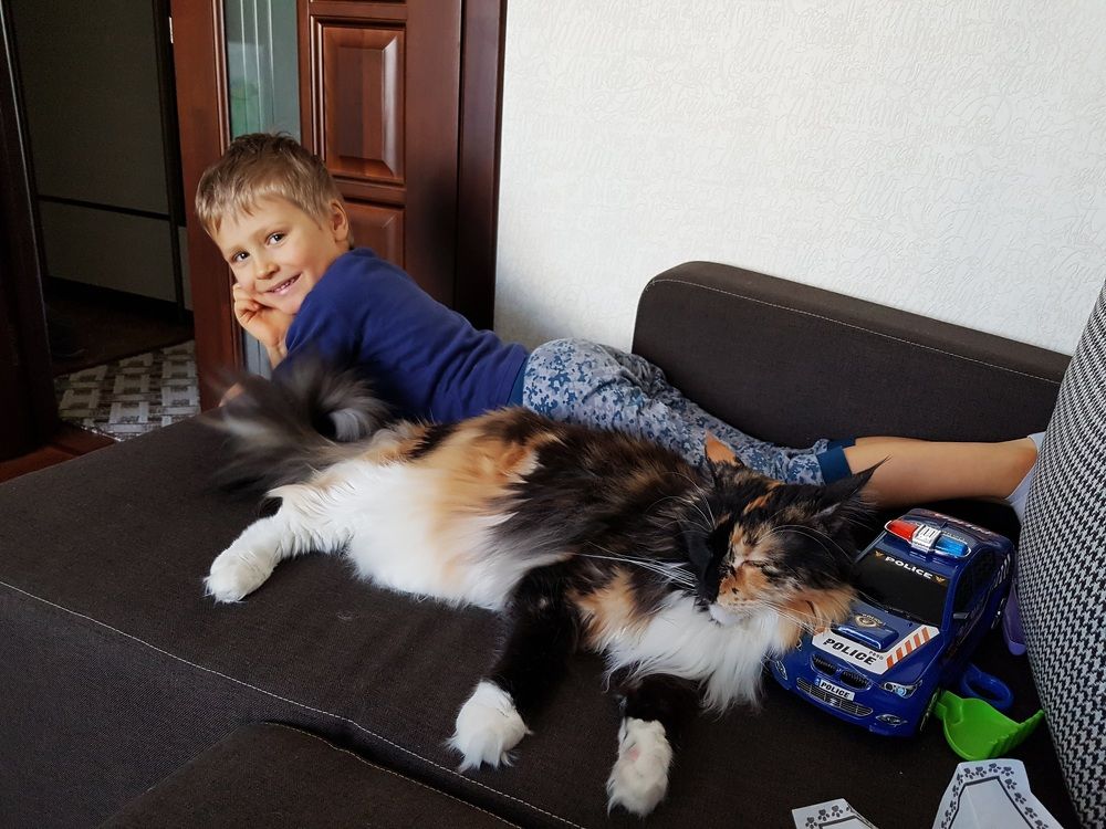 Фотография автора Дана Богинская