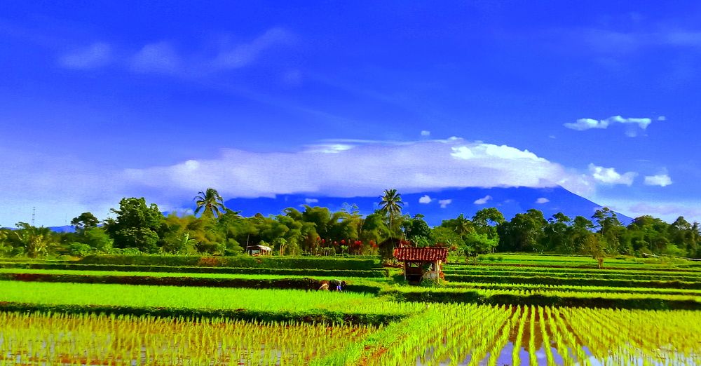 Photograph by Herawati