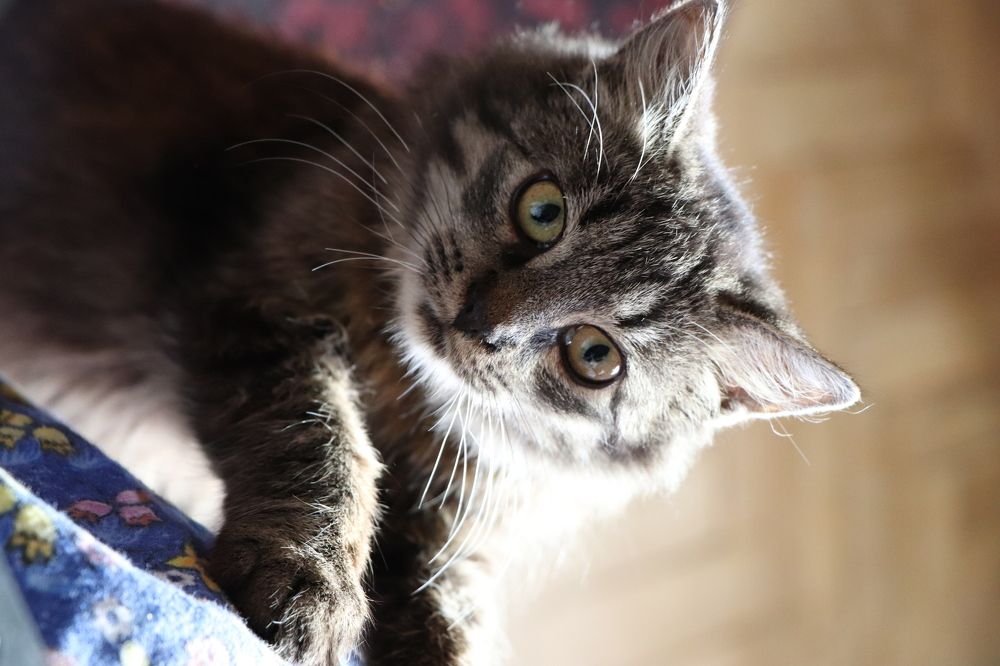 Photograph by Яна Олексюк