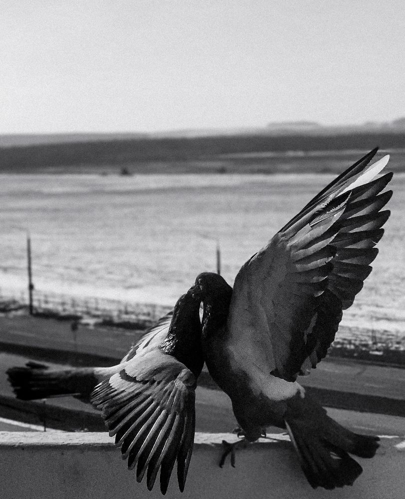 Photograph by Дарья Мицкевич