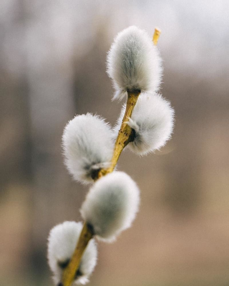 Photograph by Яна Олексюк