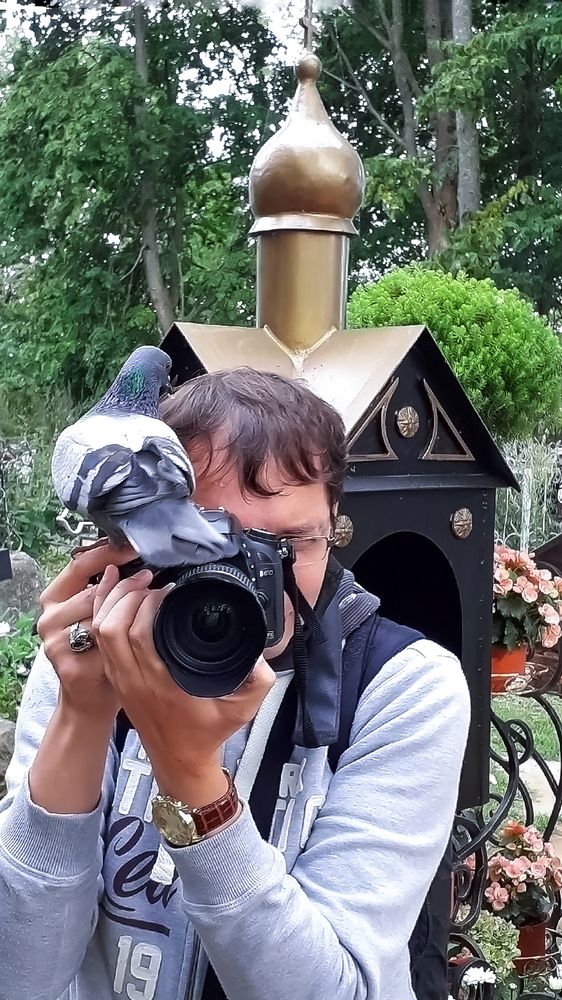 Photograph by Дмитрий Кравец