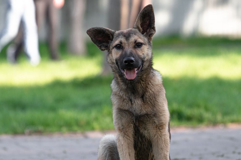 Photograph by Диана Докучаева