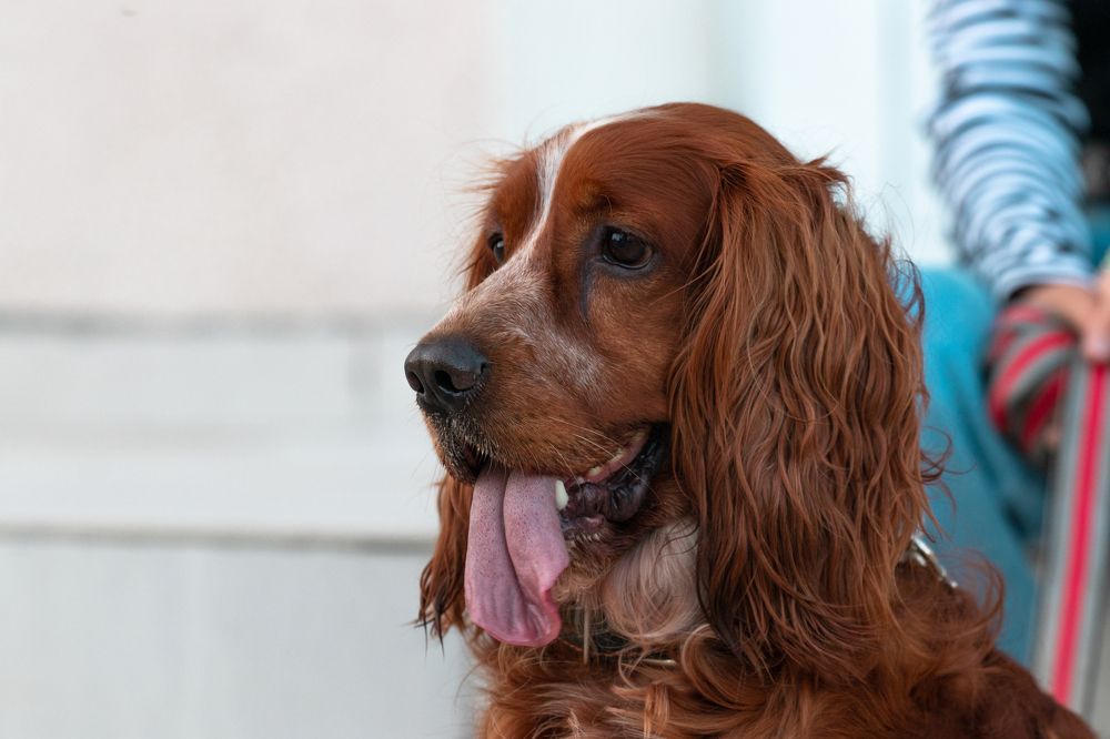 Photograph by Диана Докучаева