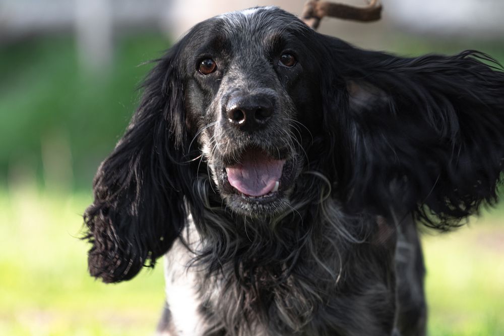 Photograph by Диана Докучаева