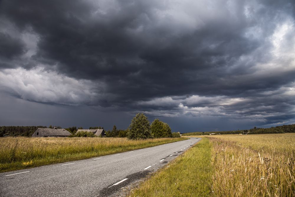 Photograph by Alla Matrosova