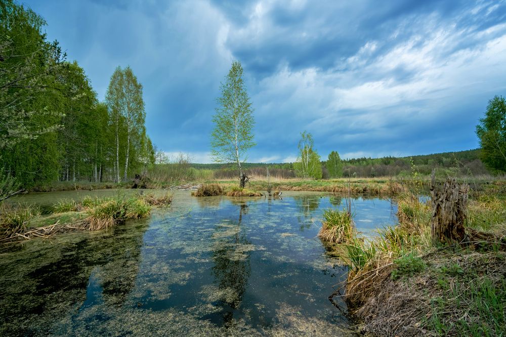 Photograph by Сергей Лазарев