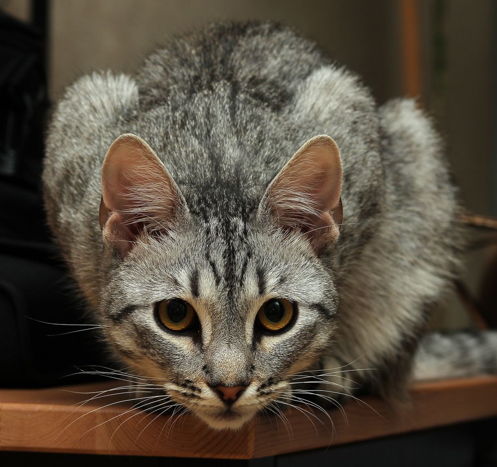 Фотография автора Геннадий Титов