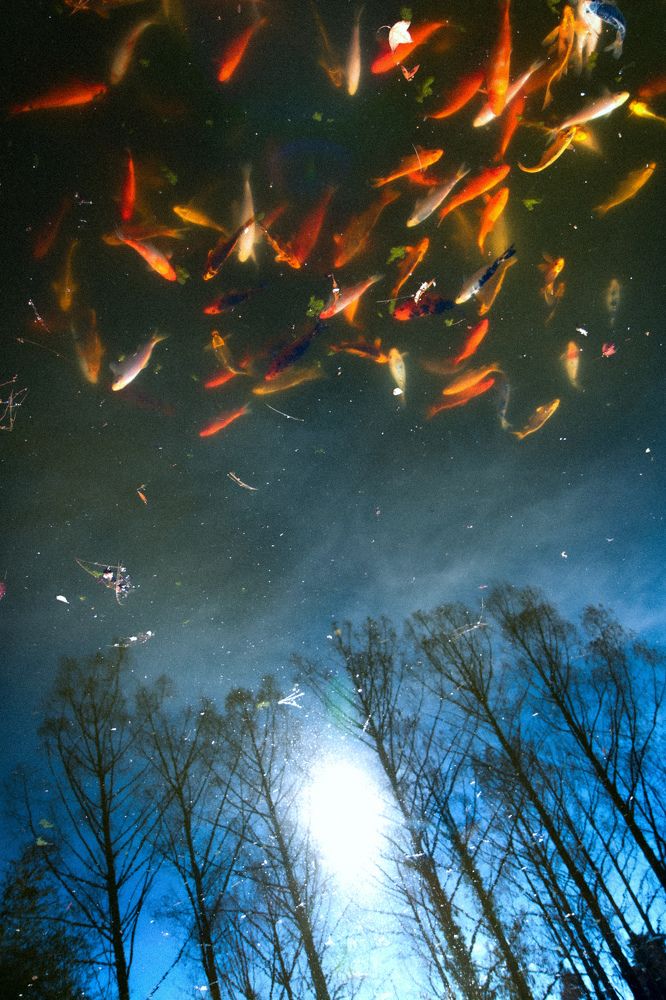 Photograph by Елена Измакова
