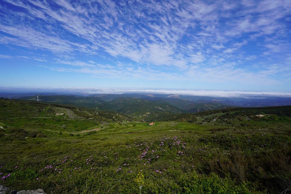 Фотография автора Jian Ma