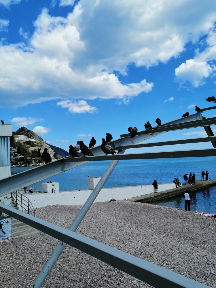 Photograph by Татьяна Чарушина