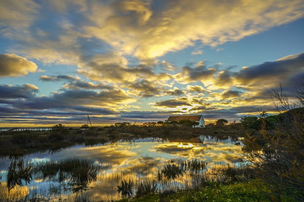 Фотография автора Jian Ma