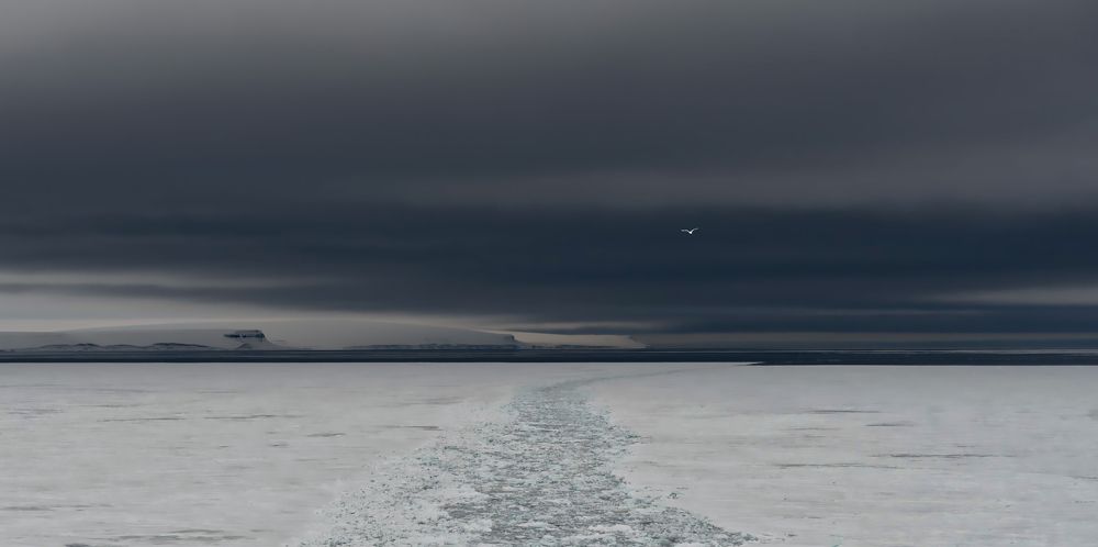 Photograph by Игорь Приданников