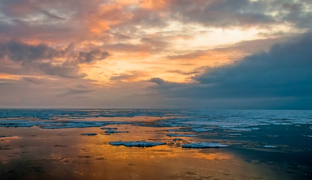 Photograph by Игорь Приданников