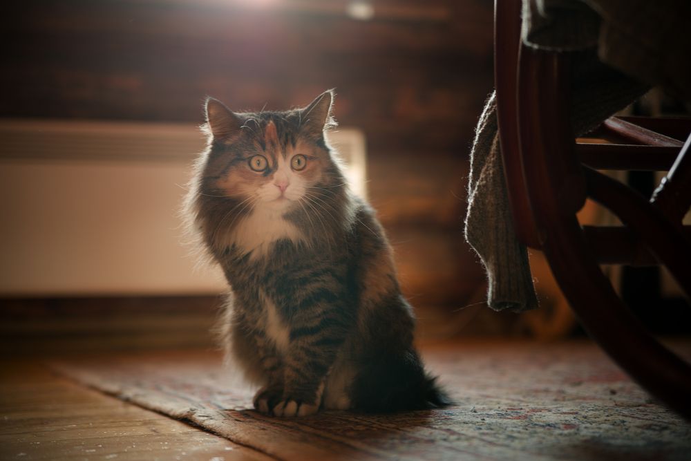 Photograph by Константин Гудков