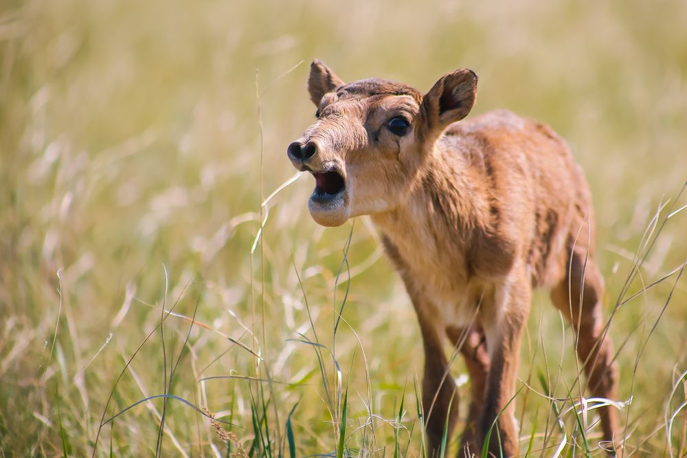 Photograph by Мейржан Мукаш