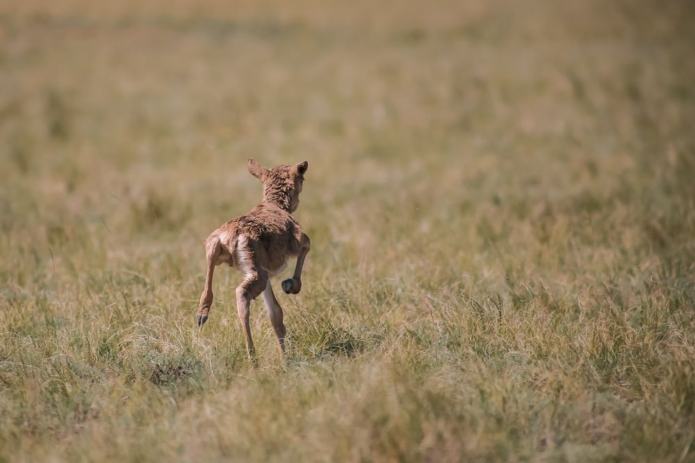 Photograph by Мейржан Мукаш