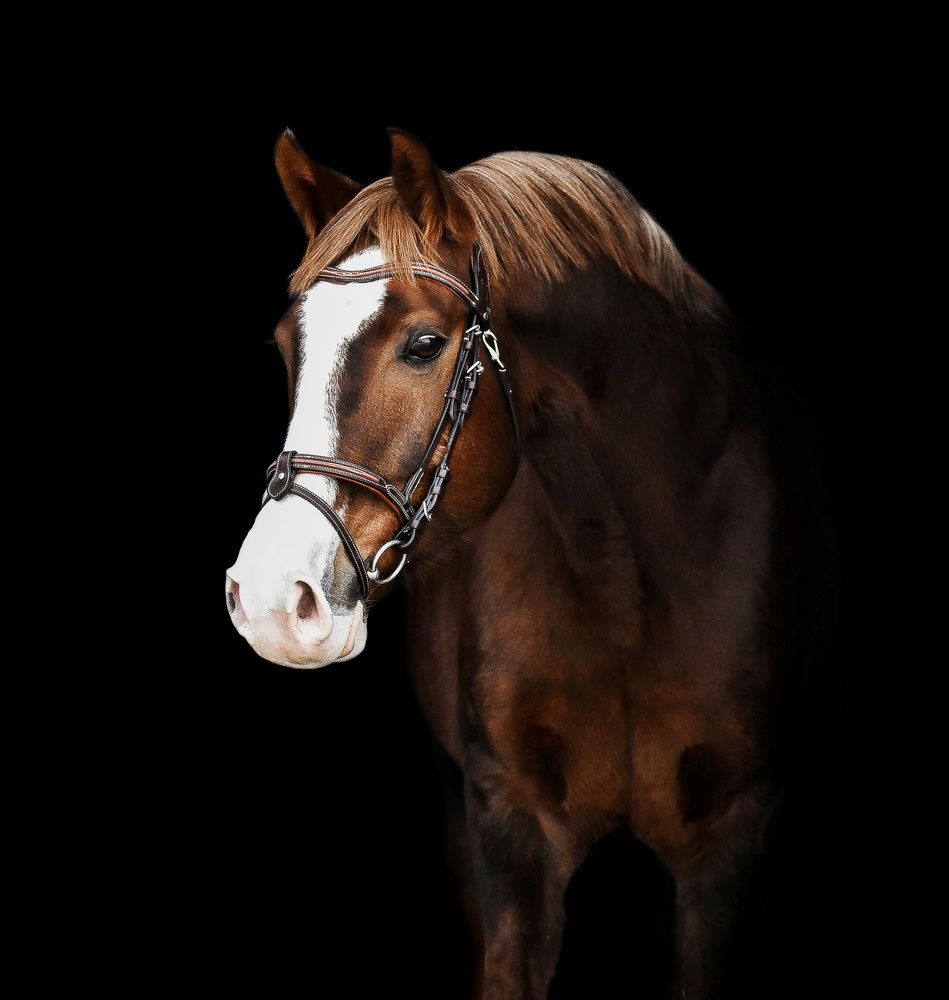 Photograph by Кристина Горковская