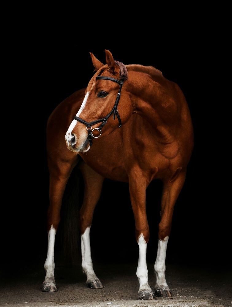 Photograph by Кристина Горковская