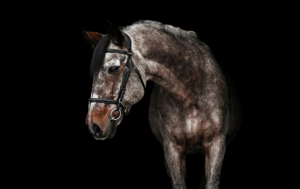 Photograph by Кристина Горковская