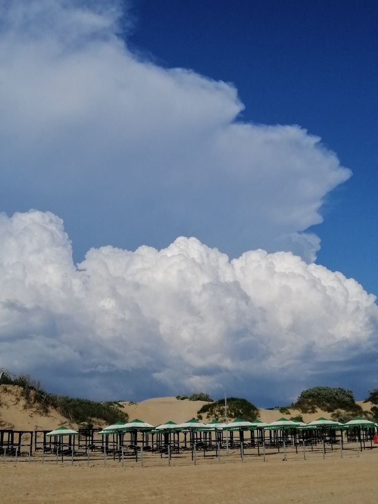 Photograph by Татьяна Чарушина