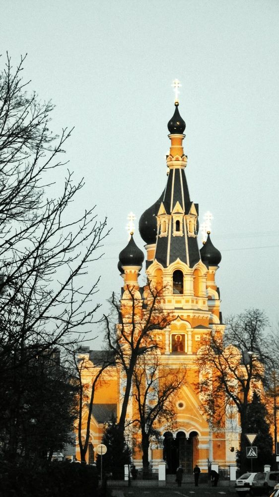 Фотография автора Дана Богинская