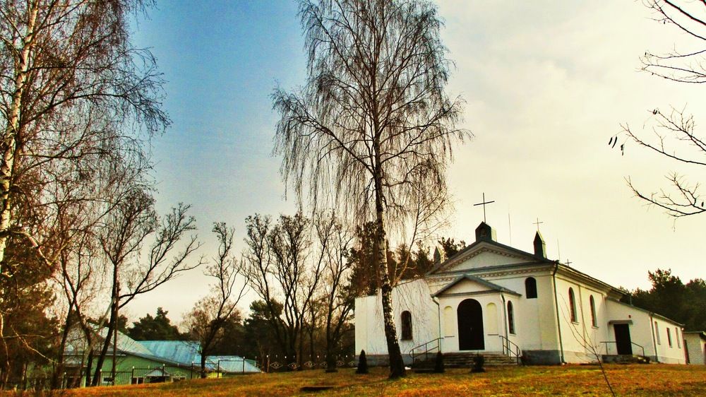 Фотография автора Дана Богинская