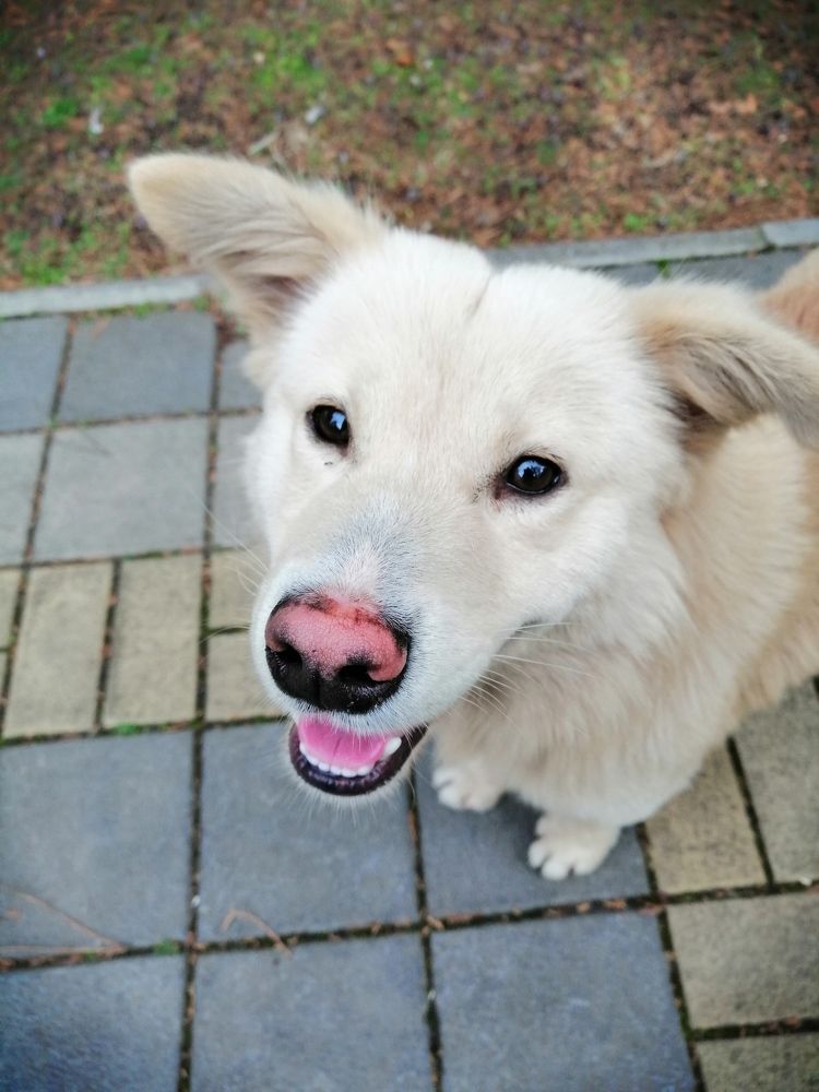 Photograph by Татьяна Чарушина