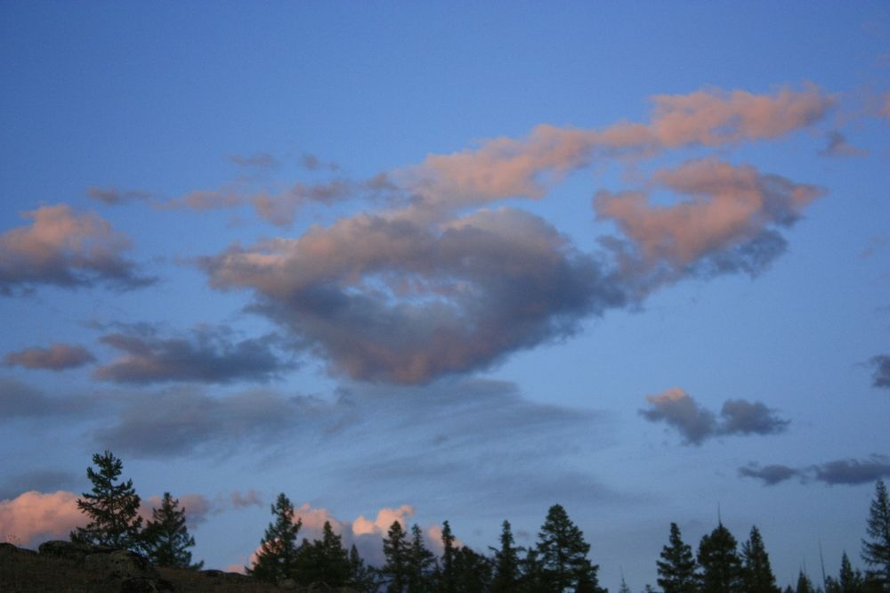 Photograph by Мария Самоловова