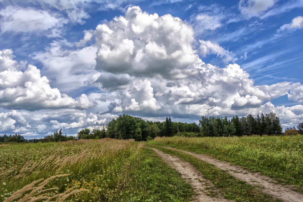 Photograph by Андрей Ныриков