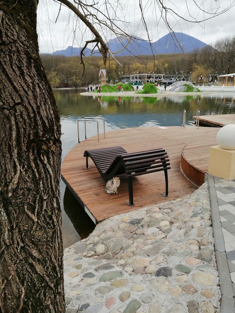 Photograph by Татьяна Чарушина