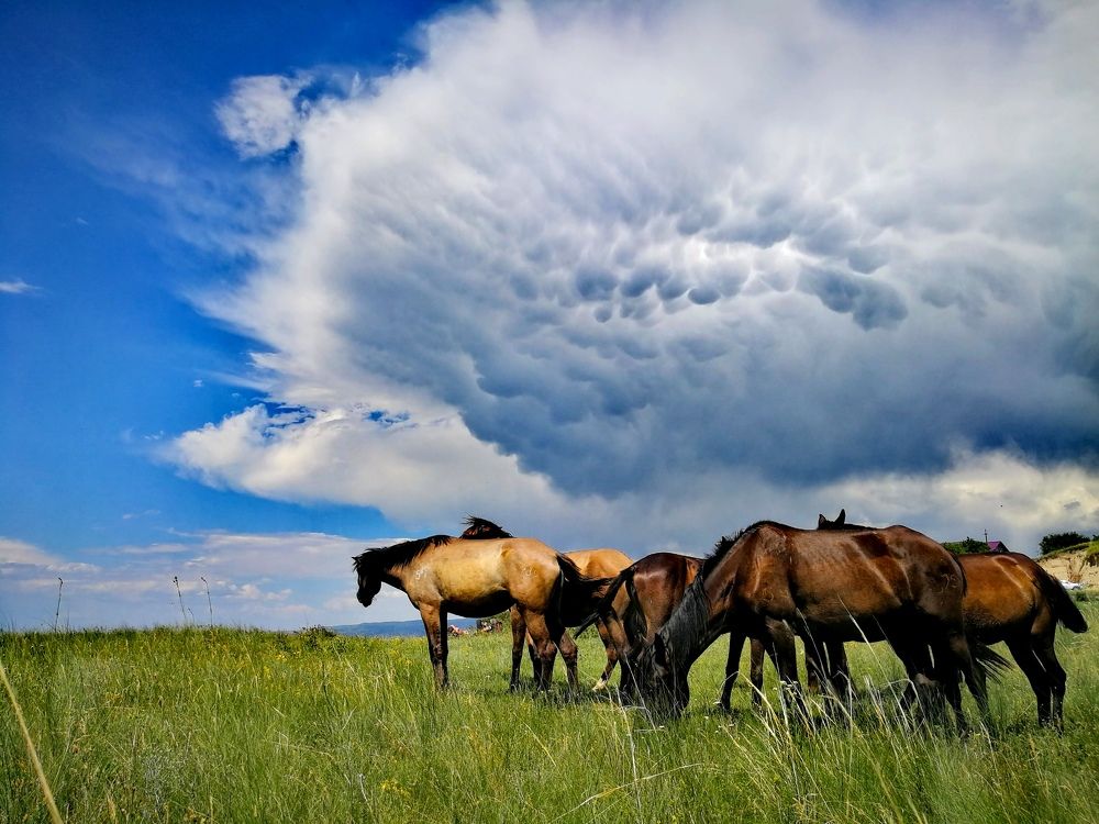 Photograph by Иван Шатный