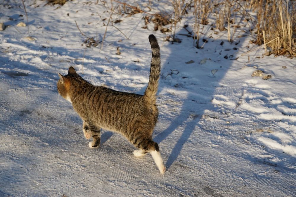 Photograph by Елена Никонова