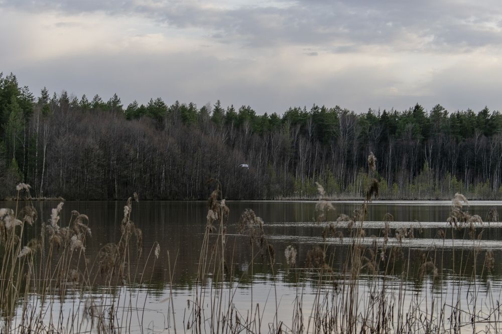 Photograph by Екатерина Бондаренко