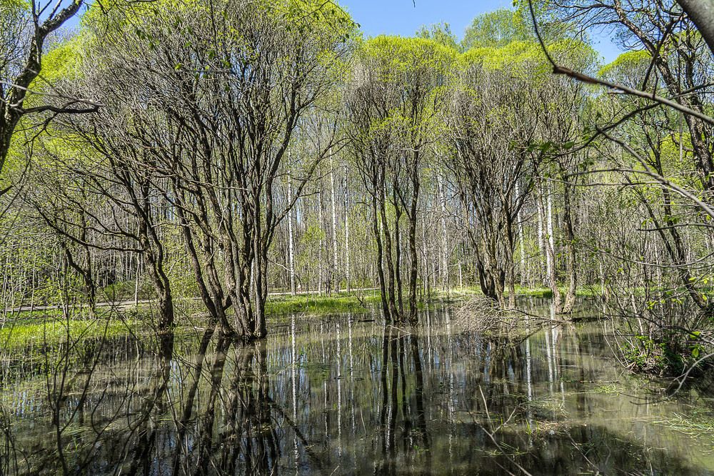 Photograph by Владимир Езеров