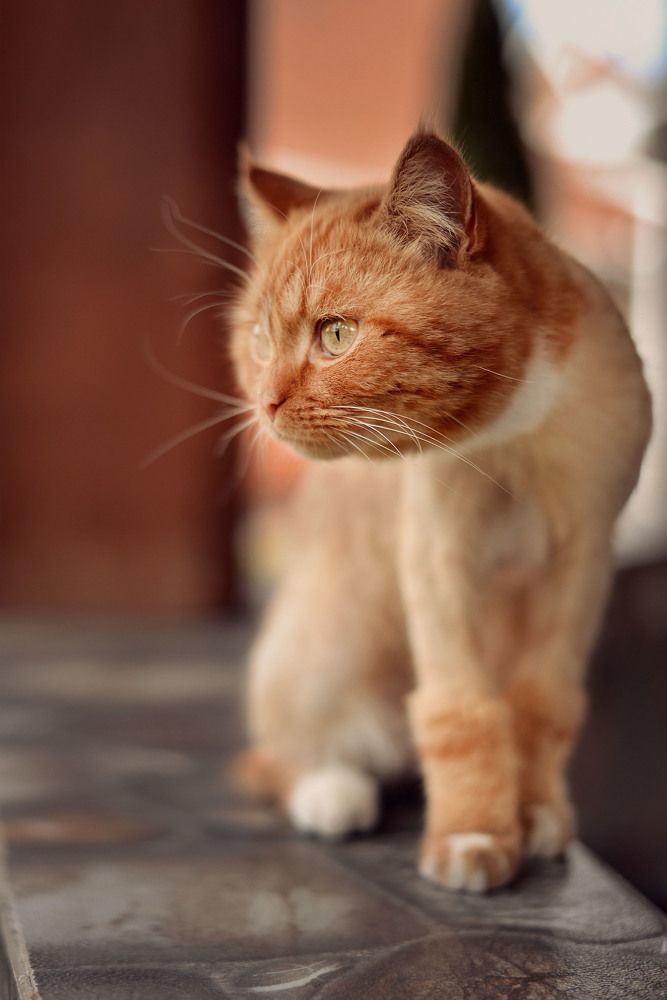 Photograph by Наталья Кошевая