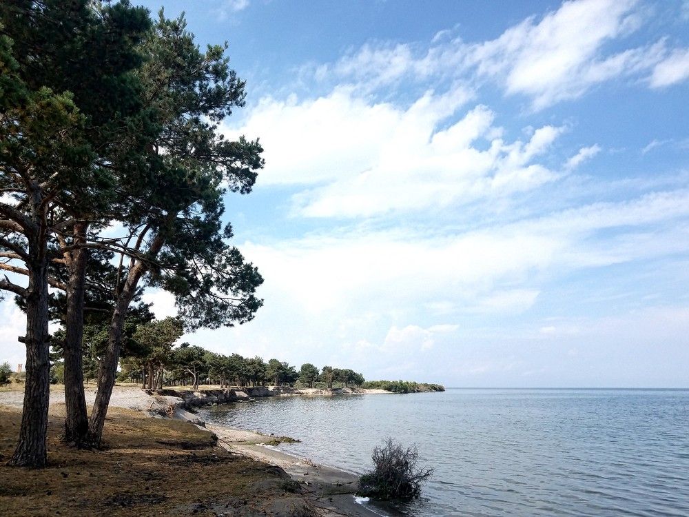 Фотография автора Tigran Kocharyan