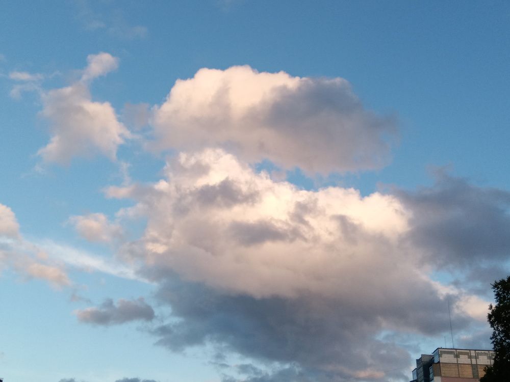 Photo #6095557
