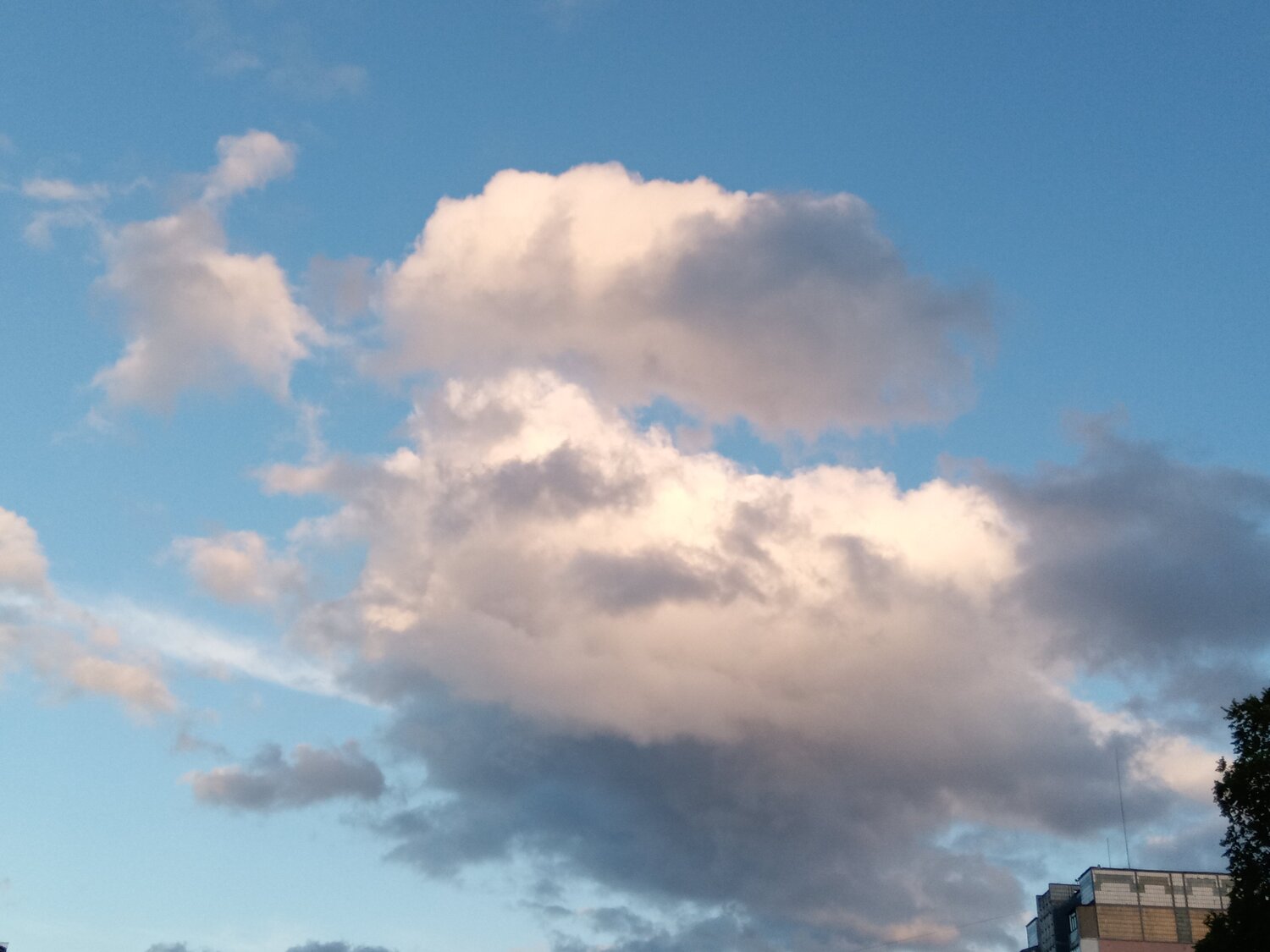 Photo #6095557