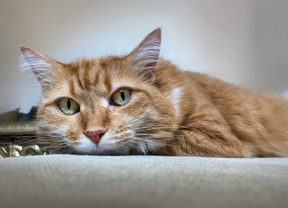 Photograph by Elisa Bond