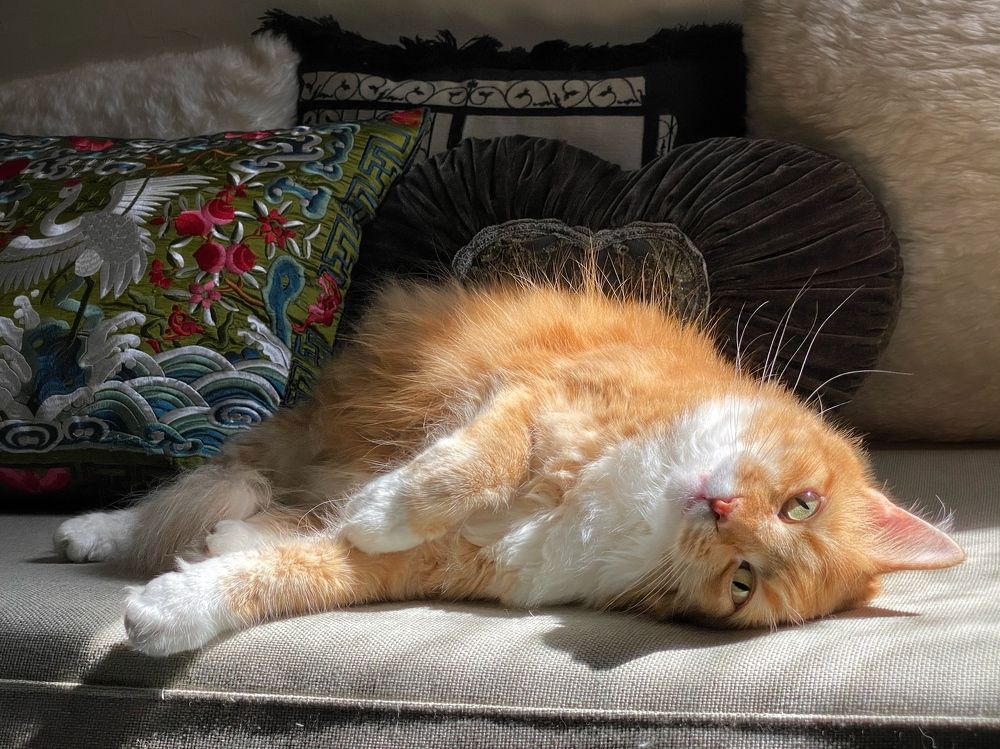 Photograph by Elisa Bond