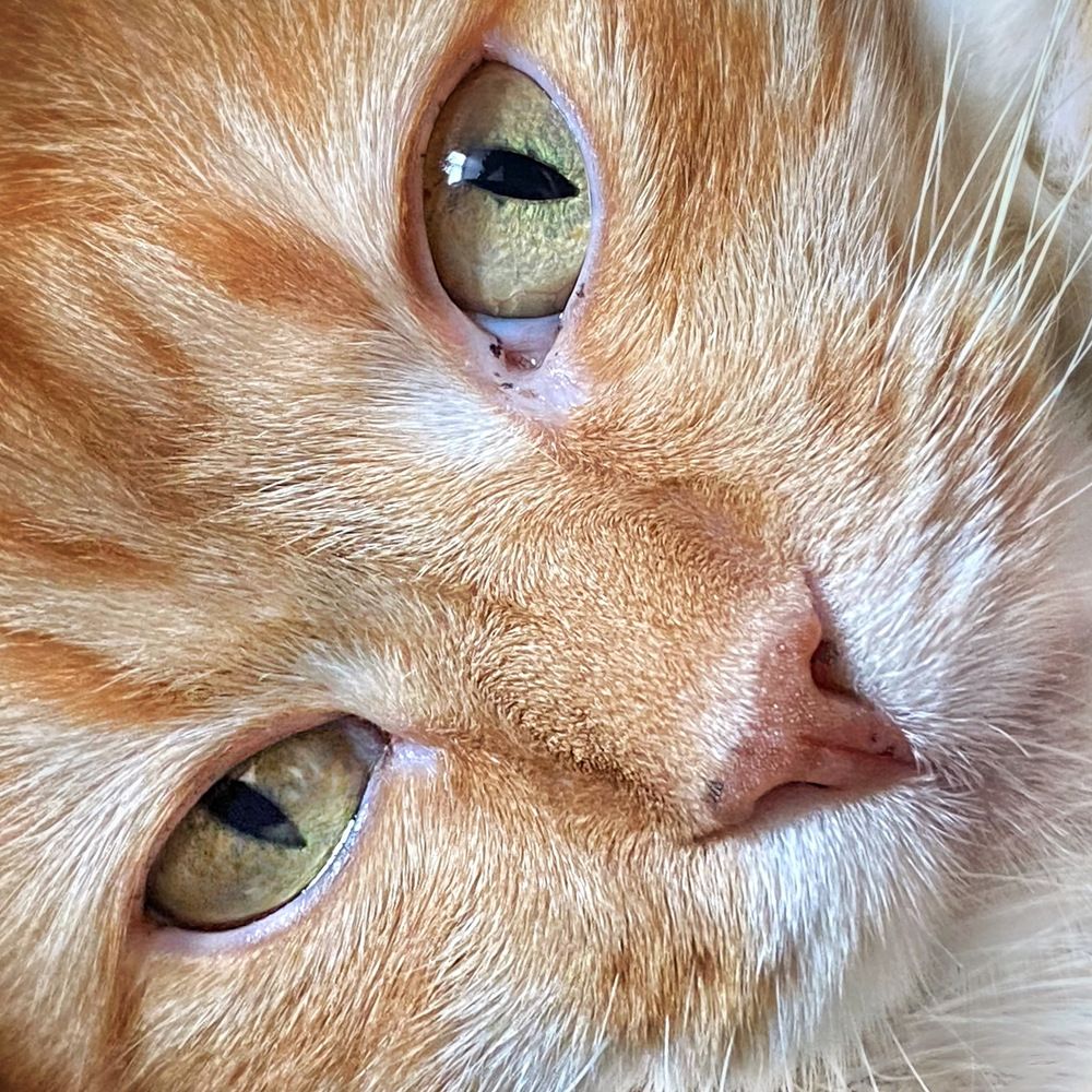 Photograph by Elisa Bond