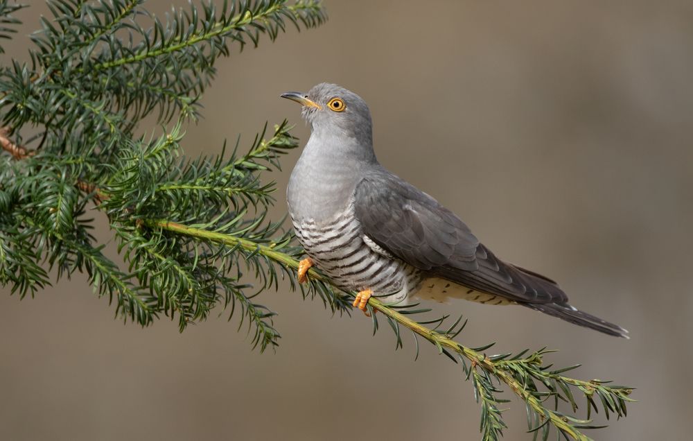 Photograph by MARIA KULA