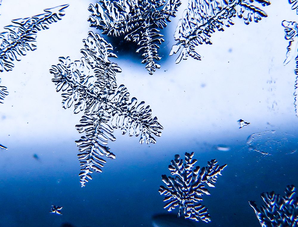 Photograph by Susmita Paul