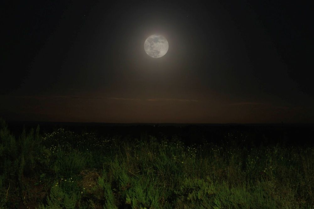 Photograph by Francisco Ferreira